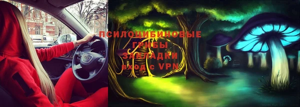 шишки Осташков