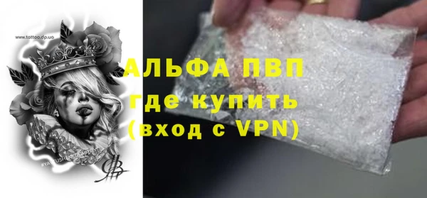 шишки Осташков