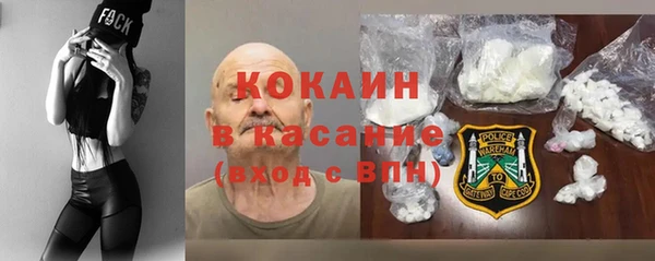 шишки Осташков
