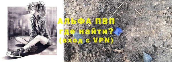 шишки Осташков