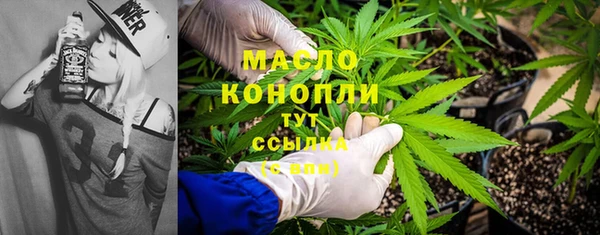 шишки Осташков