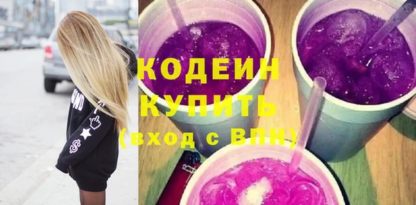 шишки Осташков