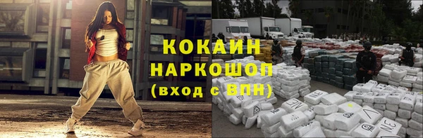 шишки Осташков