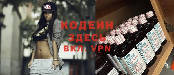 шишки Осташков