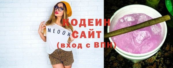 соль ск Ветлуга