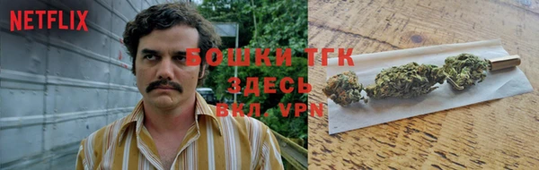шишки Осташков