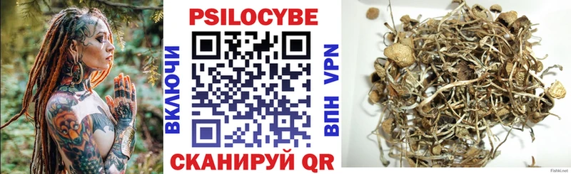 продажа наркотиков  Пугачёв  Галлюциногенные грибы Magic Shrooms 